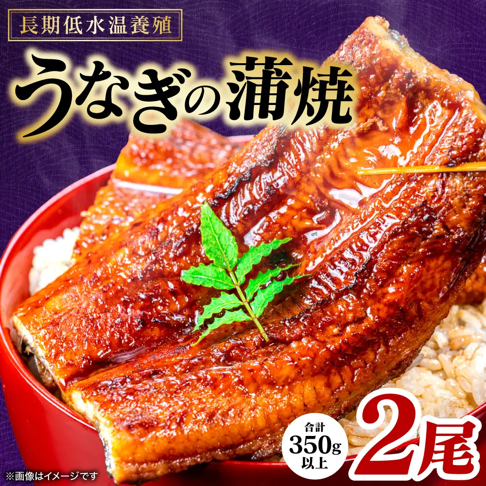 鰻 【先行予約】 うなぎの蒲焼 2尾 （合計350g以上） 【2026年9月中旬より順次発送】 鰻