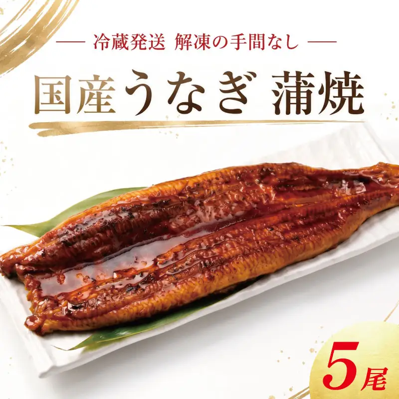 うなぎ 蒲焼 国産 小サイズ 5尾 《 冷蔵発送 解凍手間なし！》 鰻 23,680円