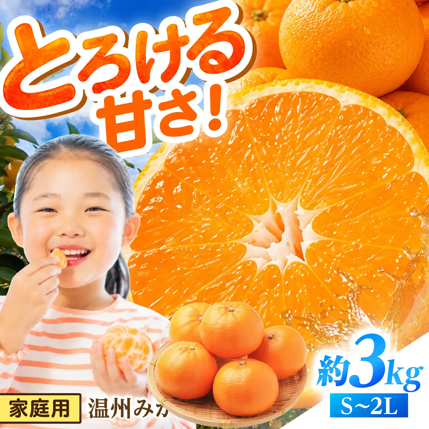 【2026年12月下旬-発送】温州みかん 3kg [SFG003] みかん