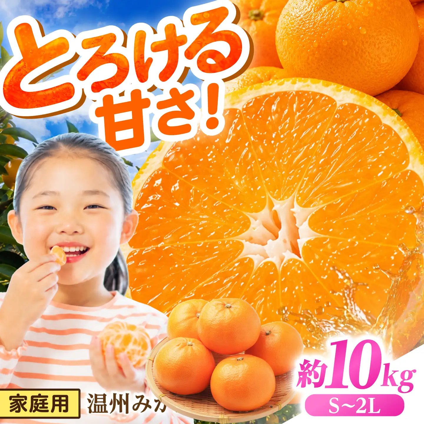 【2026年12月下旬-発送】温州みかん 10kg [SFG005] みかん