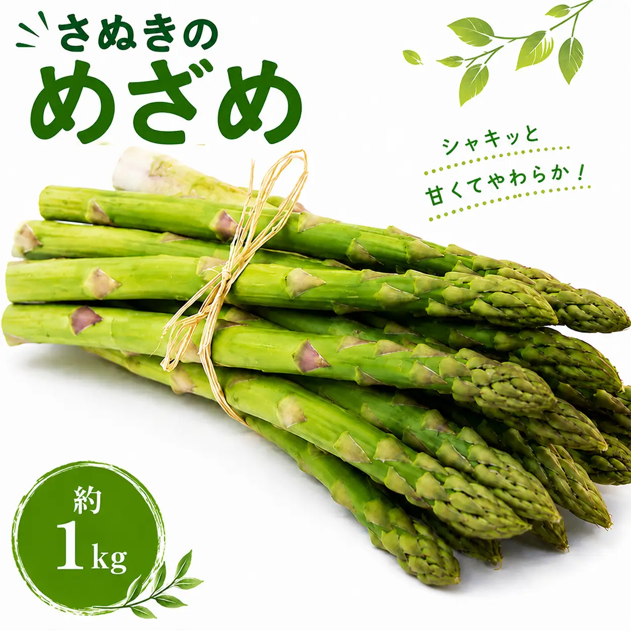 アスパラガス さぬきのめざめ 約1.0kg アスパラガス 