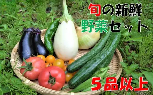 【数量限定】小国の旬の新鮮野菜セット　5品以上　