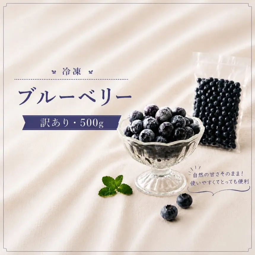 冷凍ブルーベリー 訳あり 500g