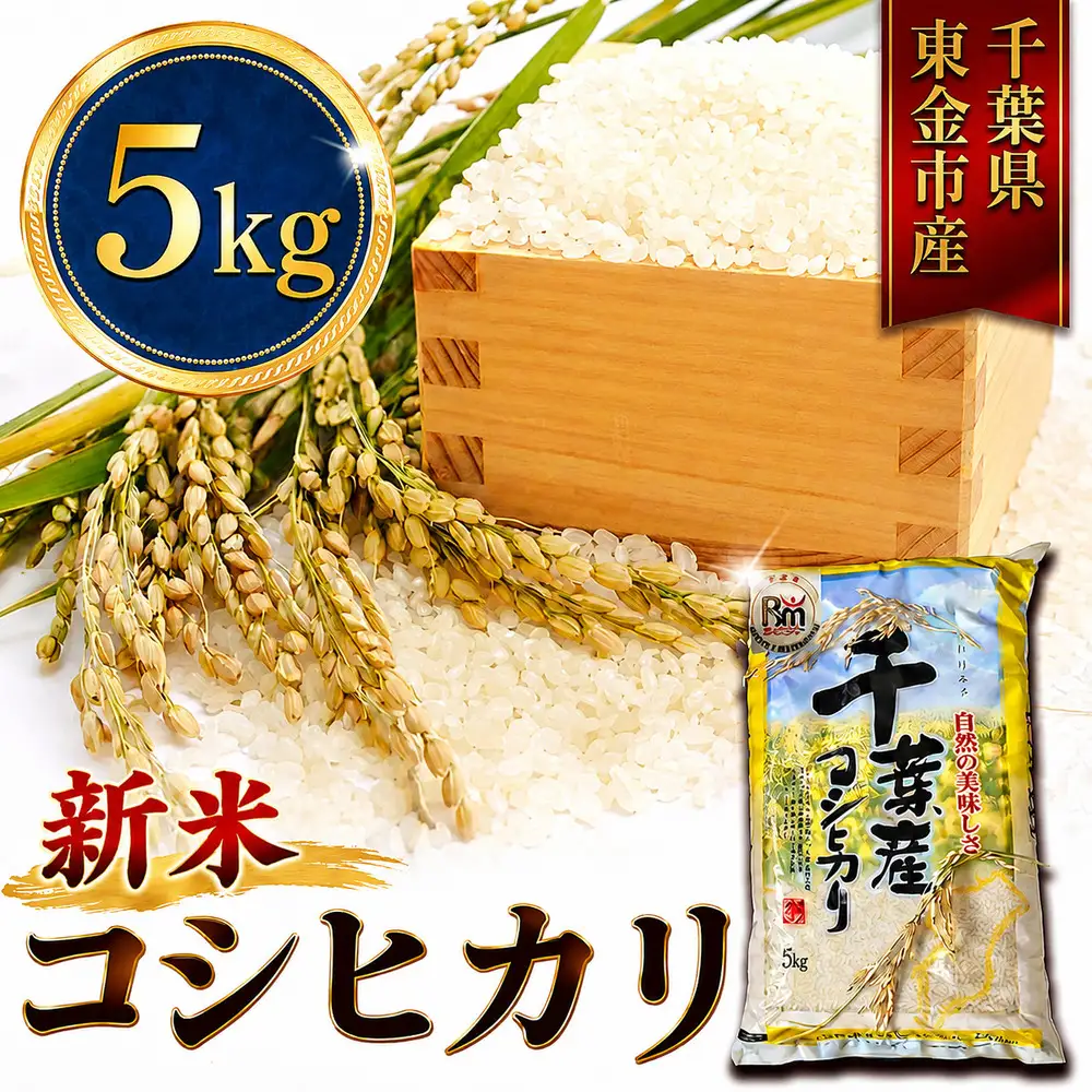 新米 こしひかり 5kg 新米 【令和8年産 先行予約限定】