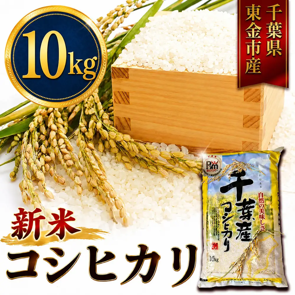 新米 こしひかり 10kg 新米 【令和8年産 先行予約限定】