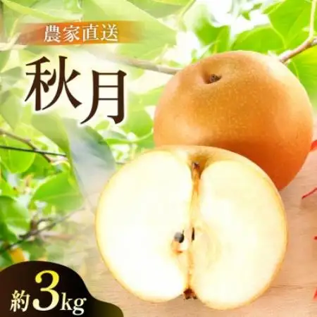 あきづき 梨 3kg 6～10玉 【2026年収穫分】かすみがうら市【配送不可地域：離島・沖縄県】【1757990】