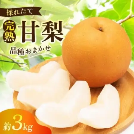 完熟甘梨 3kg 6～10玉 【2026年収穫分】かすみがうら市【配送不可地域：離島・沖縄県】【1757992】