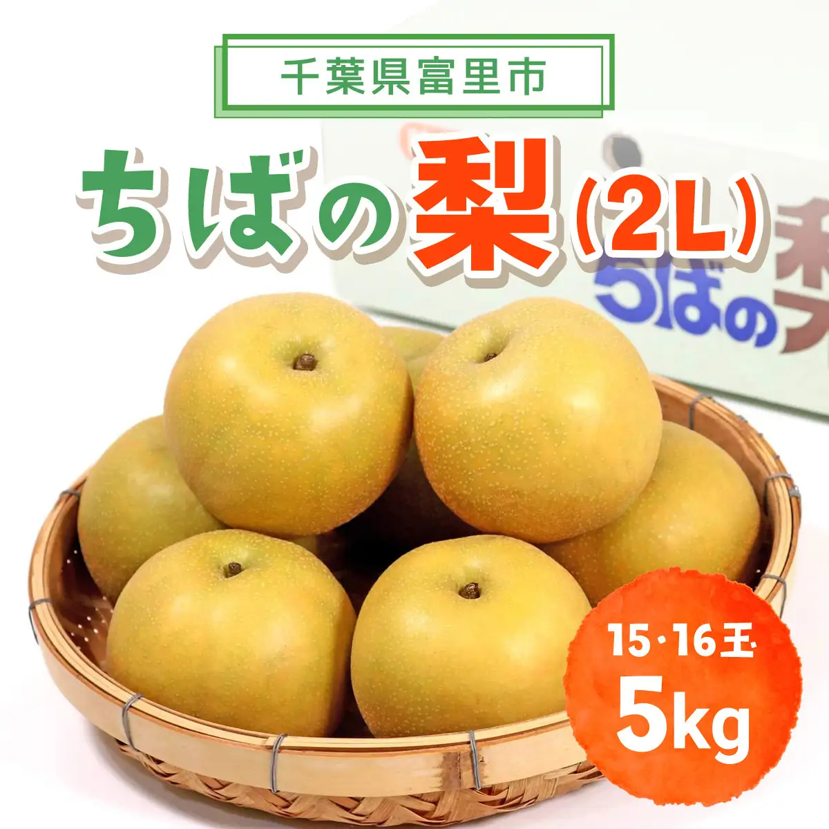 【2026年発送先行予約】【数量・期間限定】旬をお届け！富里市産 梨２L ５㎏（15,16玉）/ なし 梨 秋の味覚 産地直送 甘い 旨味 送料無料 期間限定 数量限定 JA JA富里 農協 ちば 千葉県産とみさと 富里 富里市 TMF009