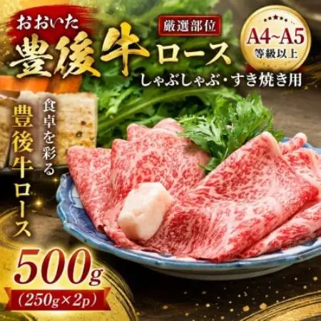 【厳選部位】【A4～A5】おおいた豊後牛ロースしゃぶしゃぶすき焼き用 500g(250g×2p)【配送不可地域：離島】【1764327】