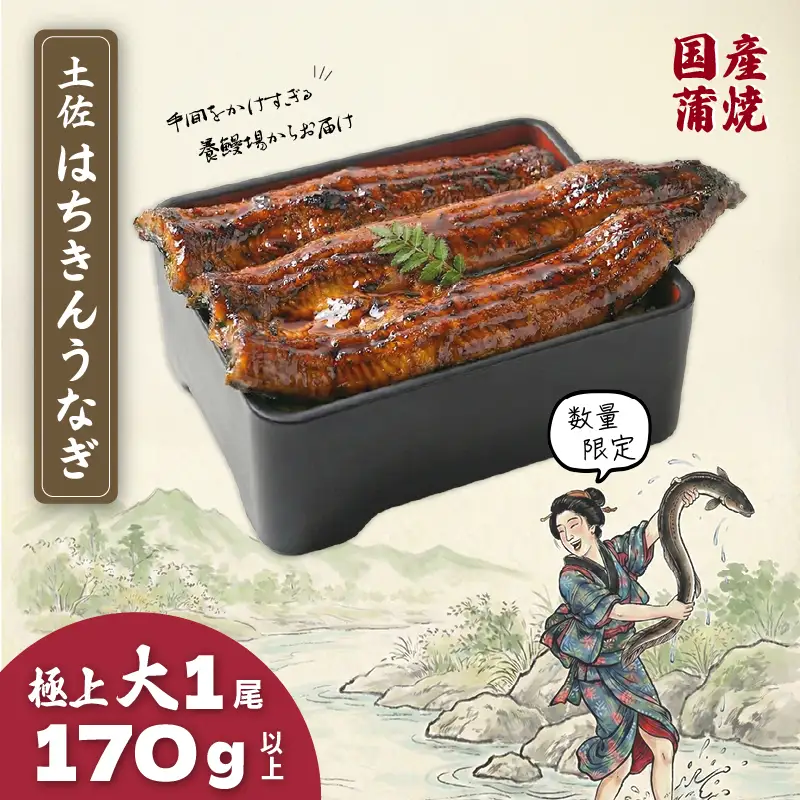 限定 国産 鰻 土佐はちきん うなぎ 大 蒲焼き 170g以上 × 1尾 | 特上 極上 めす 贈答 南国市
