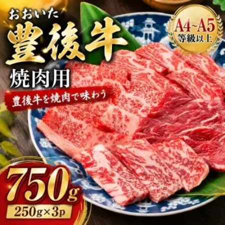 【A4～A5】おおいた豊後牛焼肉用 750g(250g×3p)【配送不可地域：離島】【1764379】