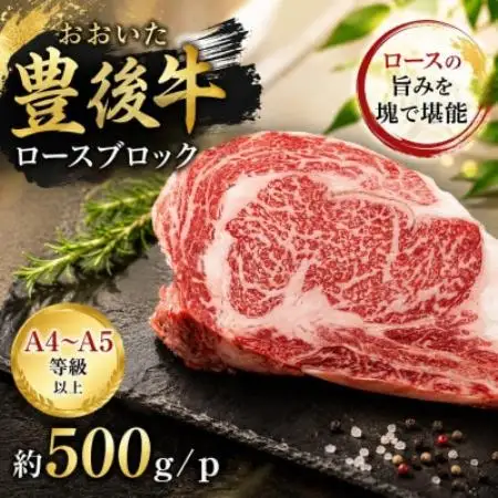 【A4～A5】おおいた豊後牛ロースブロック 約500g/p【配送不可地域：離島】【1764403】