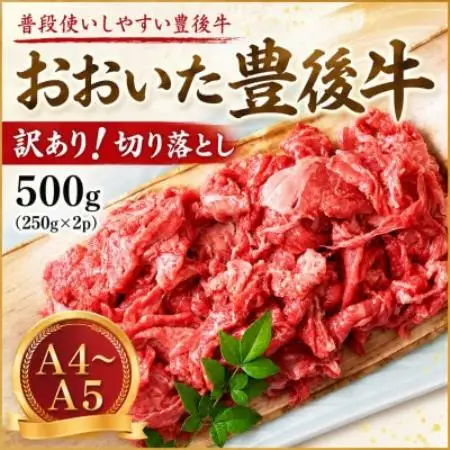 【A4～A5】訳あり!おおいた豊後牛切り落とし 500g(250g×2p)【配送不可地域：離島】【1764435】