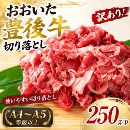 【A4～A5】訳あり!おおいた豊後牛切り落とし 250g【配送不可地域：離島】【1764438】