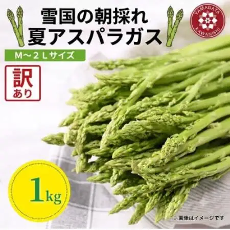 令和8年 山形県川西町産 雪国朝採れアスパラガス(夏)訳あり(不揃い)M～2L 相当　1kg【配送不可地域：離島・北海道・沖縄県・信越、北陸・近畿・中国・四国・九州】【1764660】