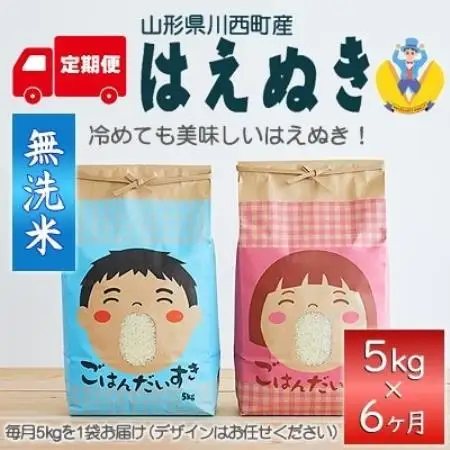 【発送月固定定期便】はえぬき　無洗米　5kg全6回【4090387】