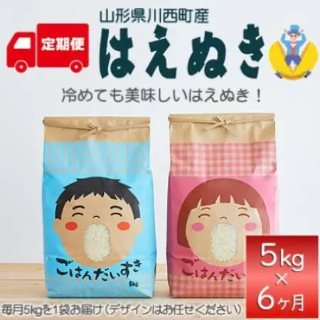 【発送月固定定期便】はえぬき　精米　5kg　全6回【4090388】