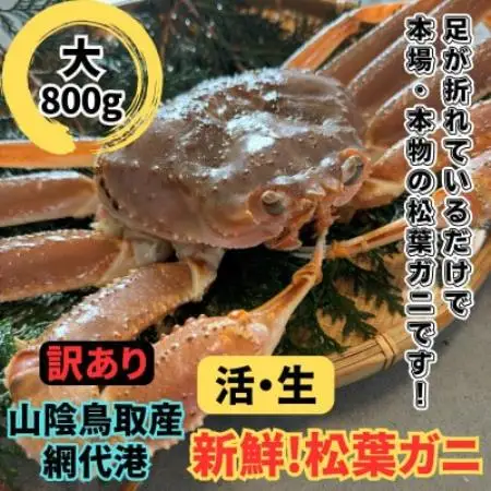 【さかなや新鮮組】鳥取県産 訳あり 活松葉ガニ(大)800g以上 1枚 漁港直送【配送不可地域：離島・北海道・沖縄県・東北・信越、北陸】【1759534】