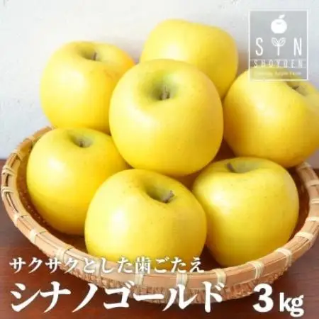 りんご シナノゴールド 3kg 松陽園 樹上 完熟 農家直送 岩手県 遠野市 先行予約【1373225】