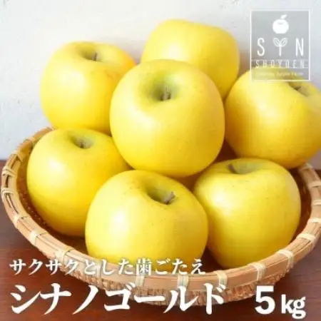 りんご シナノゴールド 5kg 松陽園 樹上 完熟 農家直送 岩手県 遠野市 先行予約【1373226】
