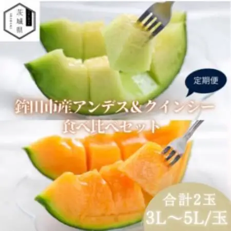 【発送月固定定期便】4月より発送予定 山一ファーム メロン食べ比べ(アンデスとクインシー)全2回【配送不可地域：離島・沖縄県】【4089274】