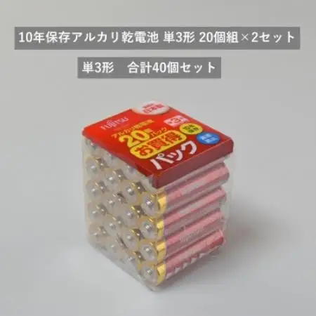 10年保存アルカリ乾電池　単3形　20個組×2セット　合計40個【1719934】