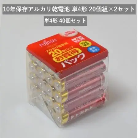 10年保存アルカリ乾電池　単4形　20個組×2セット　合計40個【1719939】