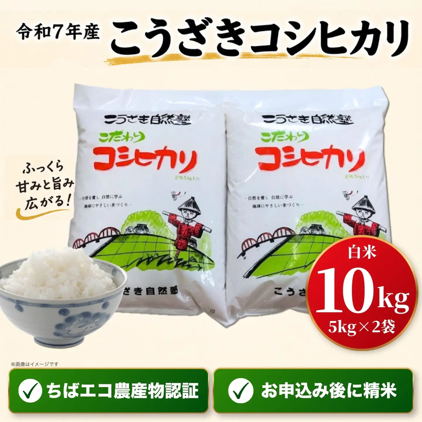 【数量限定】 令和7年産こうざきコシヒカリ10kg 1等米 ちばエコ認証 注文後精米[014-a037]