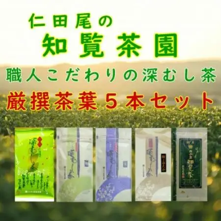 【自宅用】知覧茶園の深むし茶「 厳撰茶葉5種セット」(150g×1本　各70g×4本)【1764922】