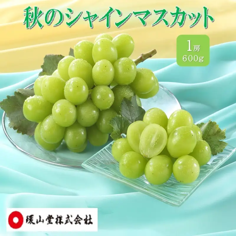 ぶどう 2027年 先行予約 秋のシャインマスカット 1房 600g ブドウ 葡萄 岡山県産 国産 フルーツ 果物 ギフト 環山堂