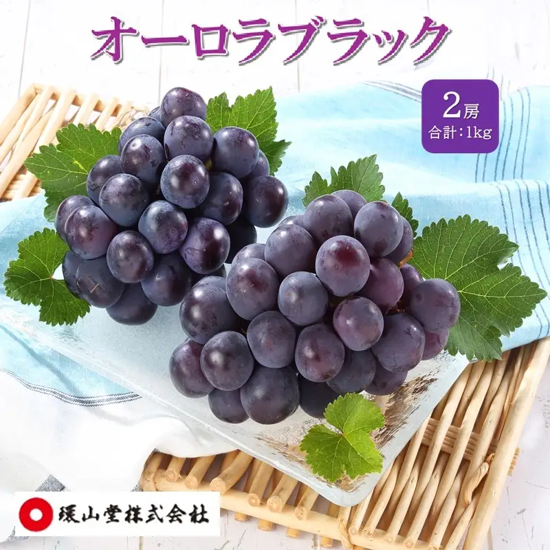 ぶどう 2027年 先行予約 オーロラブラック 2房 合計1.0kg ブドウ 葡萄 岡山県産 国産 フルーツ 果物 ギフト 環山堂