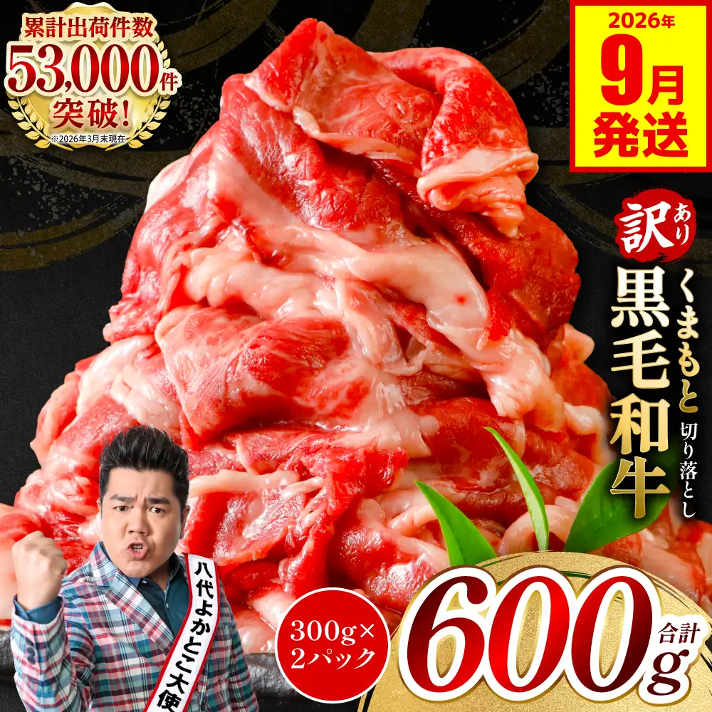 【訳あり】 牛肉 くまもと黒毛和牛 切り落とし 600g（300g×2）【2026年9月発送】 牛肉