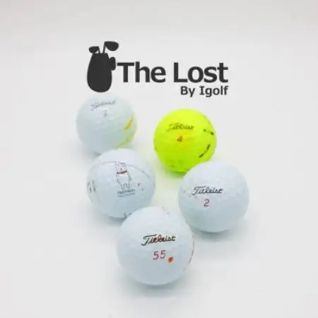 タイトリストProV1/V1x　ロストボール　練習用　30個セット　年代、カラー混合【1749679】