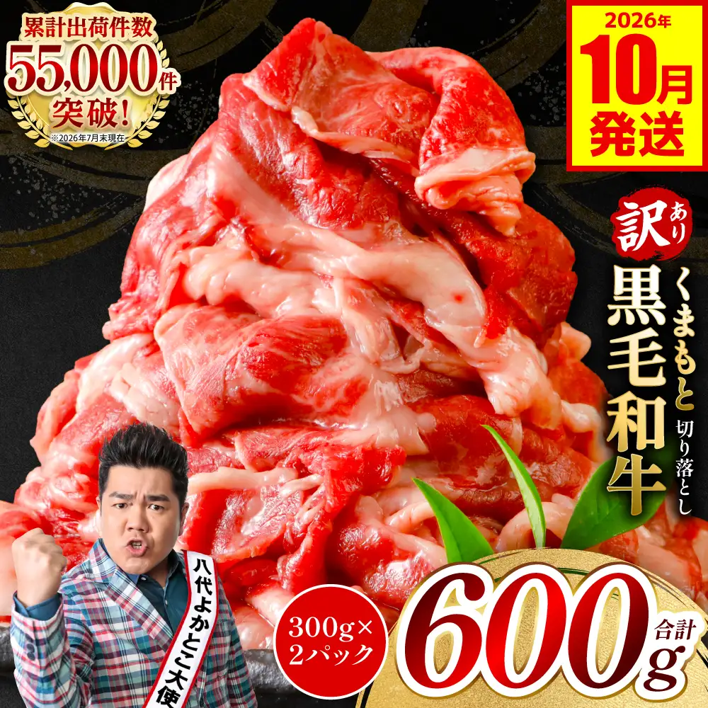 【訳あり】 牛肉 くまもと黒毛和牛 切り落とし 600g（300g×2）【2026年10月発送】 牛肉