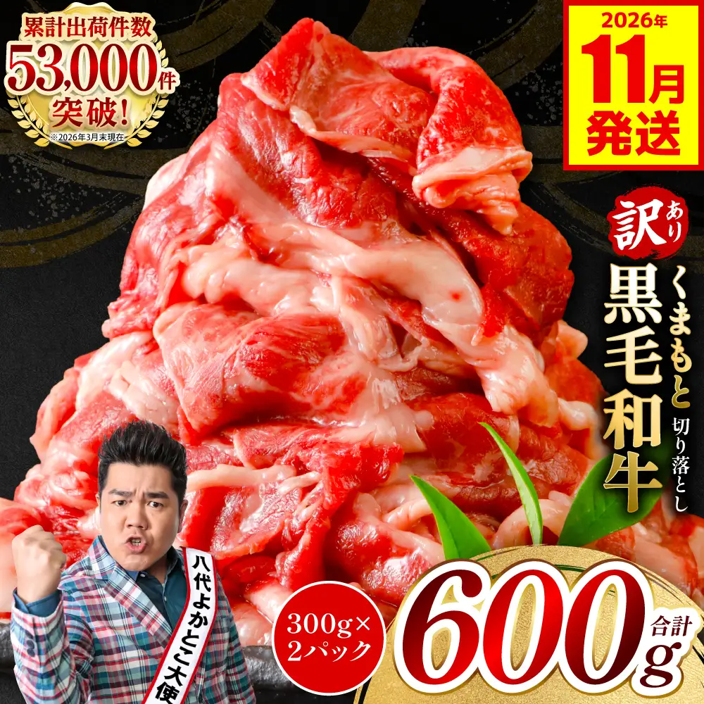 【訳あり】 牛肉 くまもと黒毛和牛 切り落とし 600g（300g×2）【2026年11月発送】 牛肉