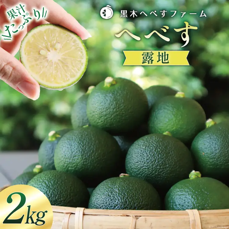 【期間限定発送】 黒木へべすファーム自慢の《露地》 へべす 2kg