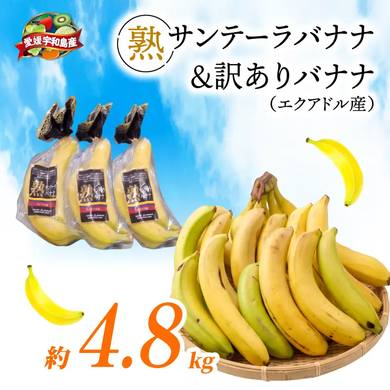 訳あり バナナ ＆ 熟サンテーラ バナナ 計約4.8kg 徳田青果 F010-194002