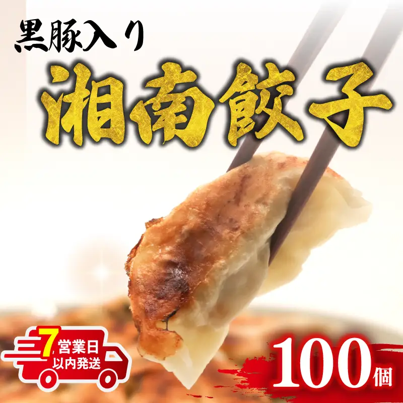 【7営業日以内発送】 湘南餃子 100個 餃子