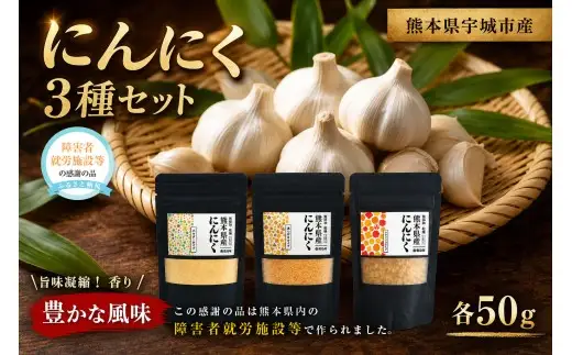 熊本県産 乾燥 ニンニク 3点 セット にんにく ガーリック 野菜 薬味 国産 セット 詰め合わせ 粉末 調味料 ニンニクパウダー