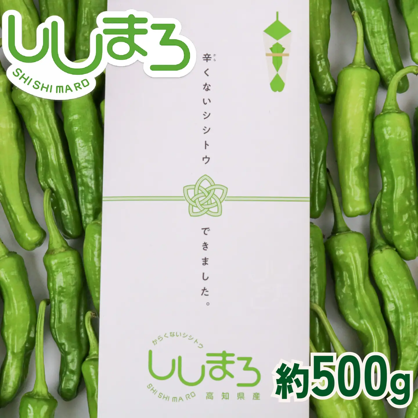 ししとう 500g 野菜 獅子唐 ししまろ