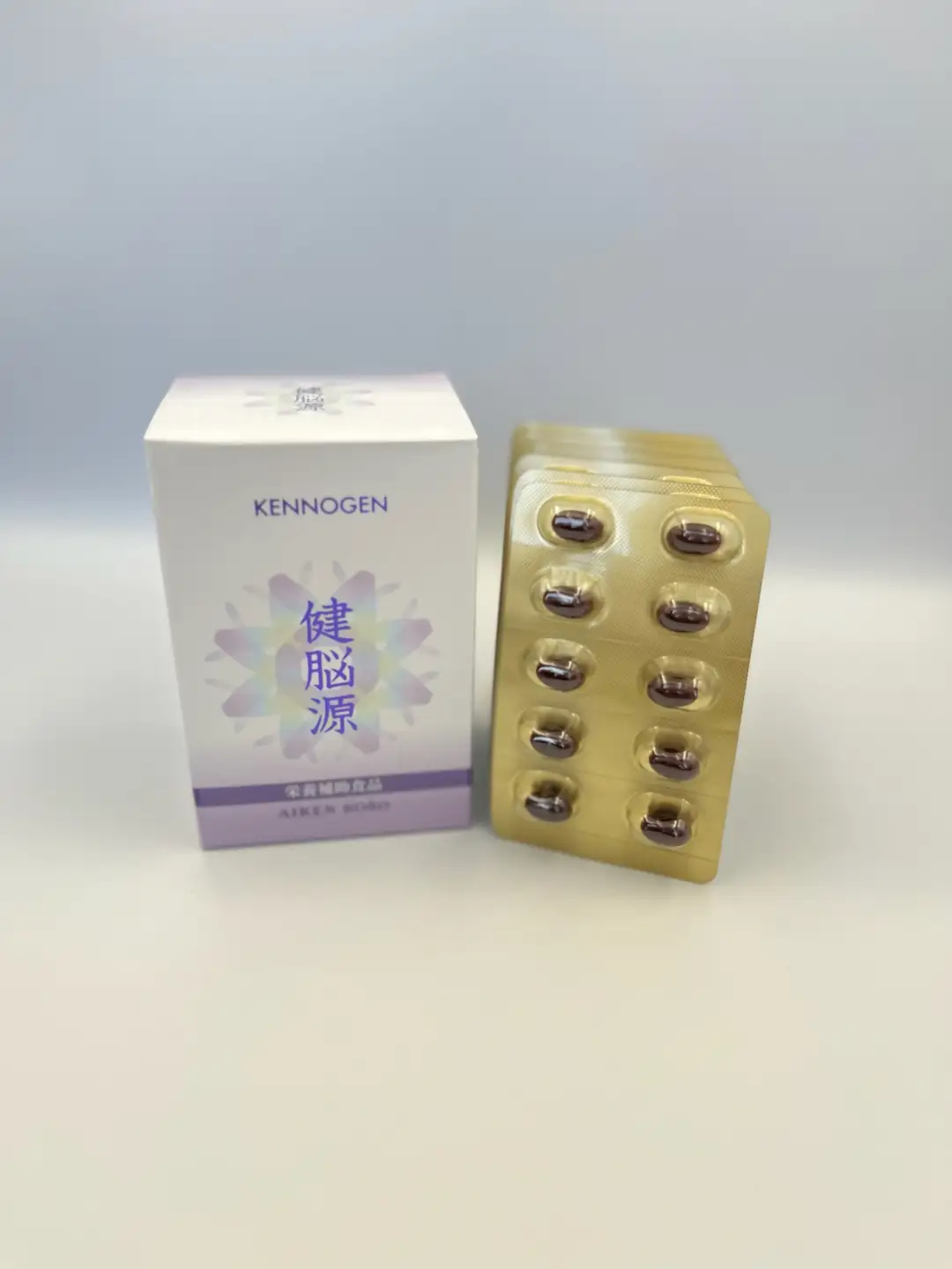 0044-117-01 愛健酵素 健脳源 プラズマローゲン含有加工食品