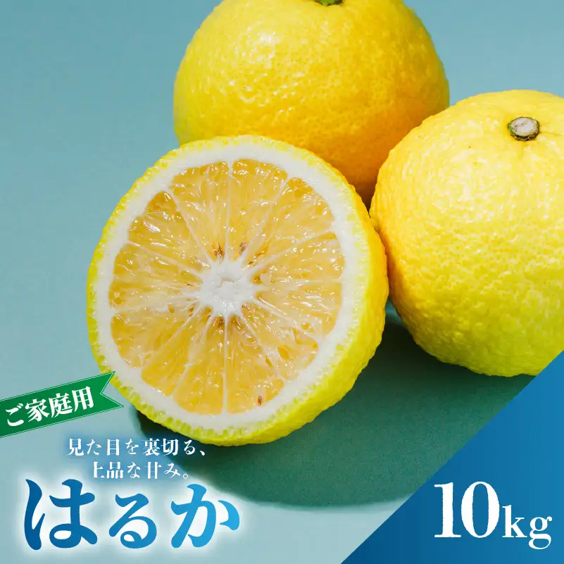 【2027年2月中旬から順次発送】はるか 10kg  家庭用 みかん 柑橘 【RNK029】
