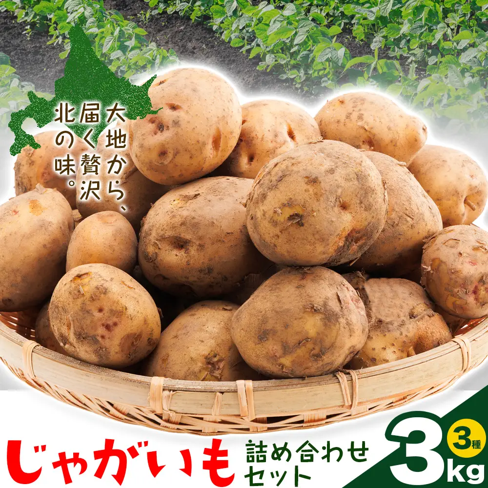 じゃがいも詰め合わせセット 3kg 10種のうち3種をお届け《9月上旬-12月末頃出荷予定》