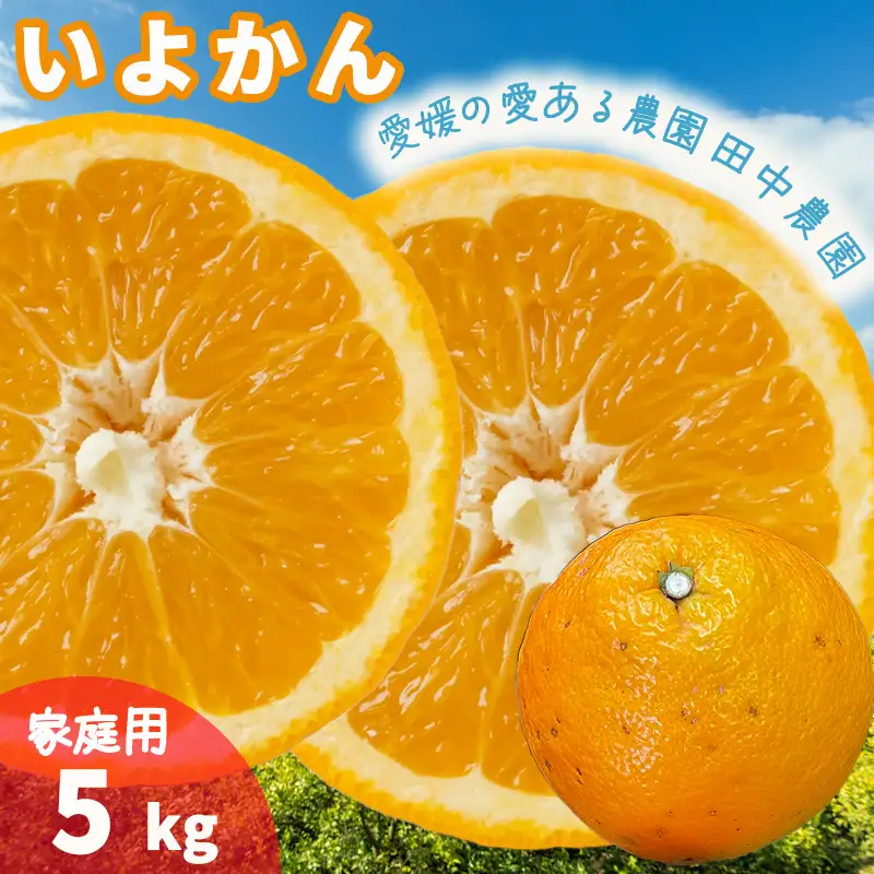 【2027年1月上旬頃から順次発送】伊予柑 いよかん 約5kg 家庭用 【TNN011】