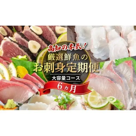 【冷凍】 刺身 定期便 6ヶ月 小島水産 がお届けする！ 美味しい お刺身 大容量 コース 