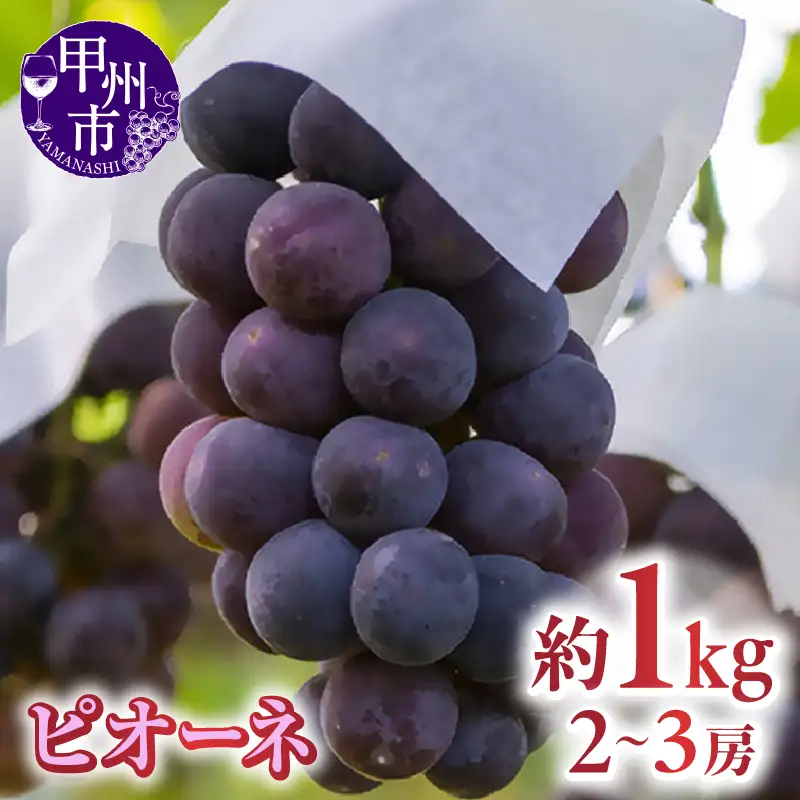 甲州市勝沼産 ピオーネ 約1kg（2～3房）【2027年発送】（AZY）B-829 ピオーネ フルーツ