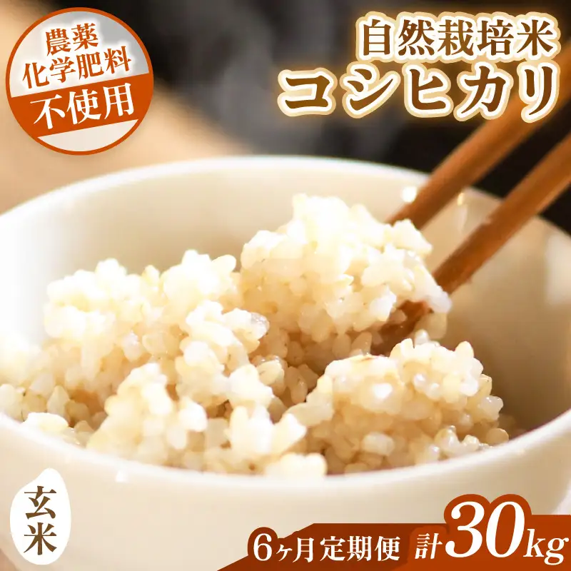 【先行予約】【令和8年産】【定期便】≪6ヶ月連続お届け≫ コシヒカリ 玄米 5kg×6回 （計30kg）化学肥料 農薬不使用 自然栽培米 / 北陸 福井県産 あわら市 ブランド米 玄米 お米 コメ ※2026年10月上旬以降順次発送予定 [aw138-k001]