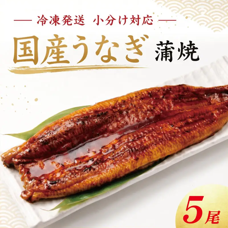 うなぎ 蒲焼 国産 小サイズ 5尾 22,720円