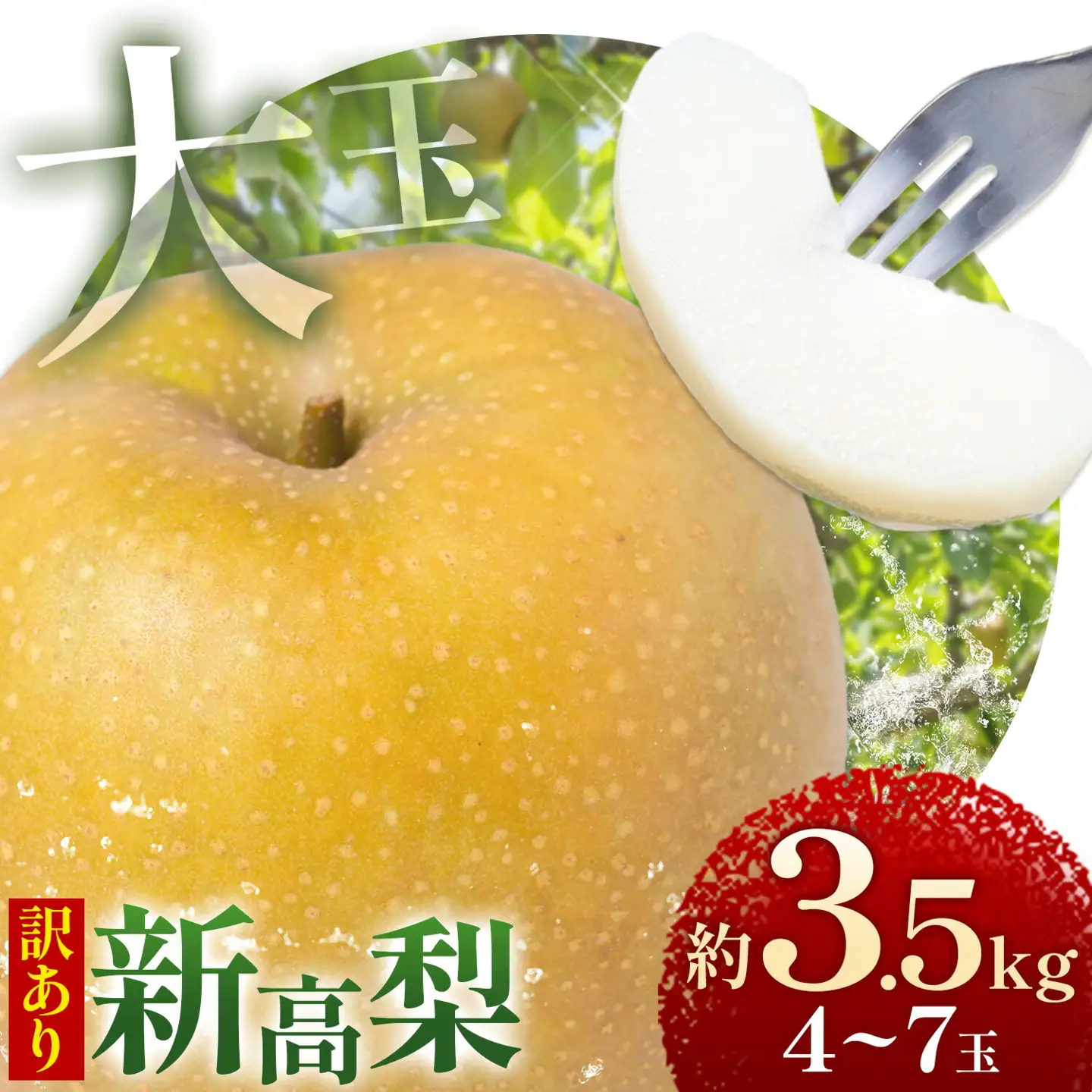 梨 訳あり 新高梨 約3.5kg 4～7玉 38果樹園