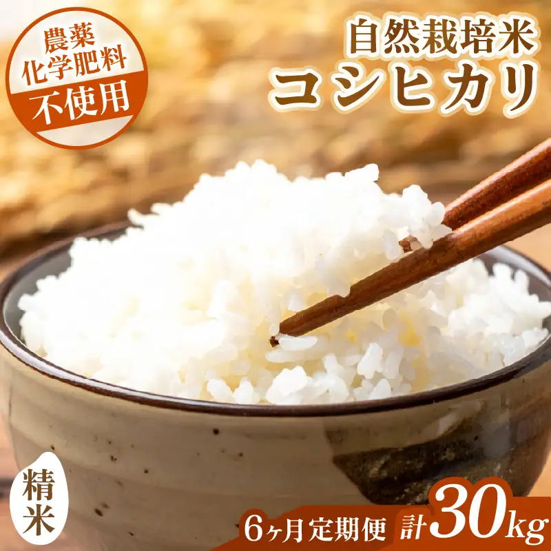 【先行予約】【令和8年産】【定期便】 ≪6ヶ月連続お届け≫ コシヒカリ 精米 5kg×6回 （計30kg） 化学肥料 農薬不使用 自然栽培米 / 北陸 福井県産 あわら市 ブランド米 白米 お米 コメ ※2026年10月上旬以降順次発送予定 [aw138-k002]